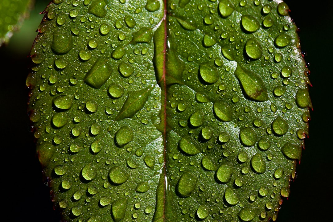 découvrez l'univers des micro-entreprises : avantages, démarches, et conseils pratiques pour réussir votre projet entrepreneurial. informations essentielles pour les entrepreneurs souhaitant se lancer dans l'aventure de la micro-entreprise.