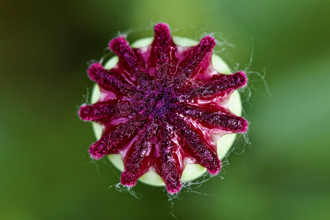 découvrez tout ce qu'il faut savoir sur la micro-entreprise : statuts, avantages, démarches administratives et conseils pratiques pour réussir votre projet entrepreneurial.