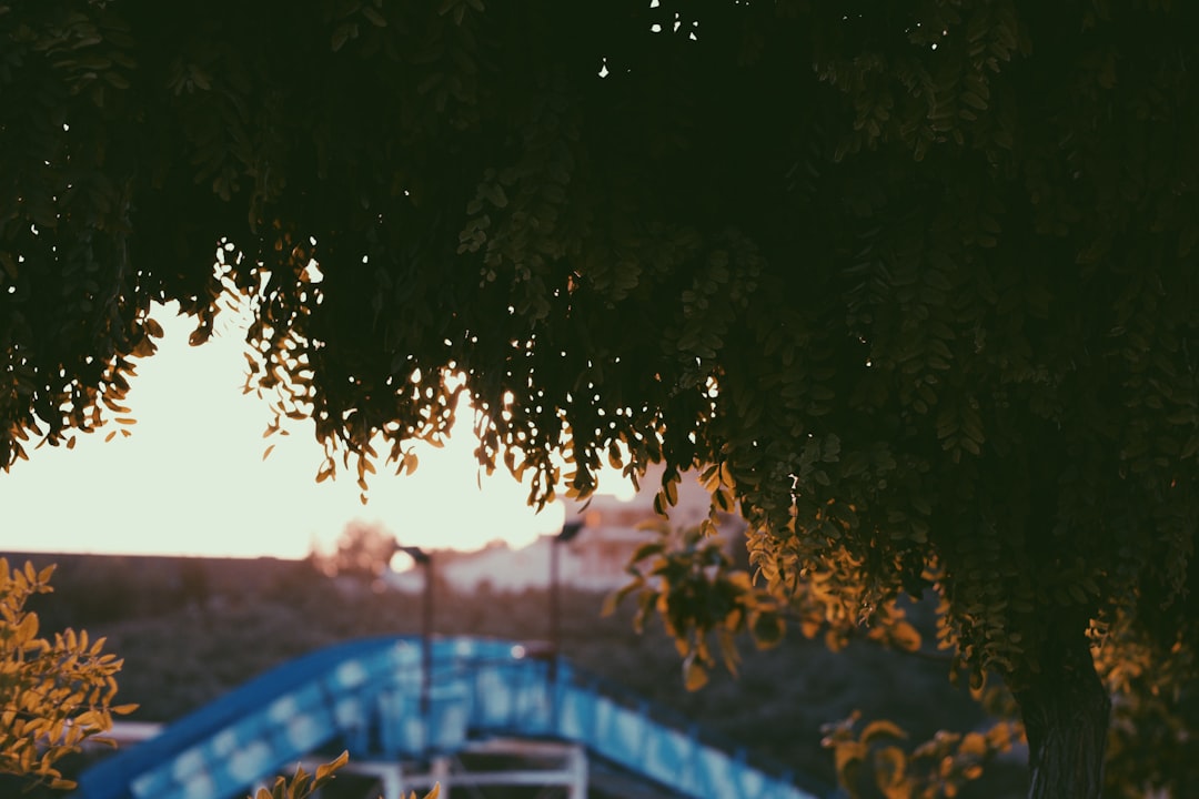 découvrez tout ce que vous devez savoir sur le rsi (régime social des indépendants) : son fonctionnement, ses avantages, et comment il s'applique aux travailleurs indépendants en france. informez-vous pour mieux gérer votre protection sociale et vos droits.