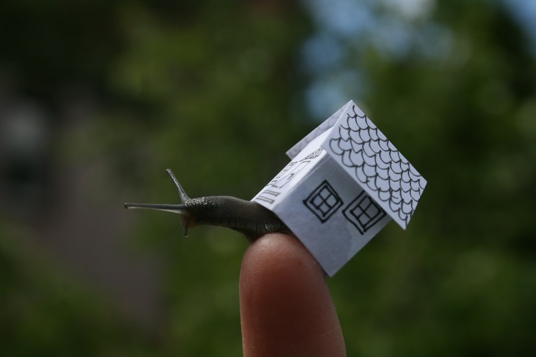 découvrez les avantages et les défis de la micro-entreprise en france. apprenez comment lancer votre propre activité rapidement, bénéficiez d'un statut simplifié et explorez les opportunités de croissance. idéal pour les entrepreneurs souhaitant allier flexibilité et indépendance.